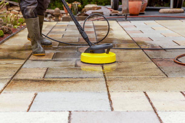 Best Pre-Holiday Cleaning  in Hillsboro, WI